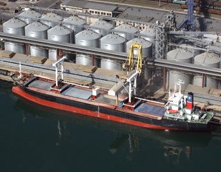 Порт «Чорноморськ» за вісім місяців збільшив перевантаження олії на 37%